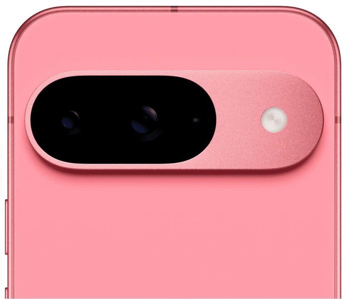 Смартфон Google Pixel 9 12/128GB Peony (Global Version) 114089 фото