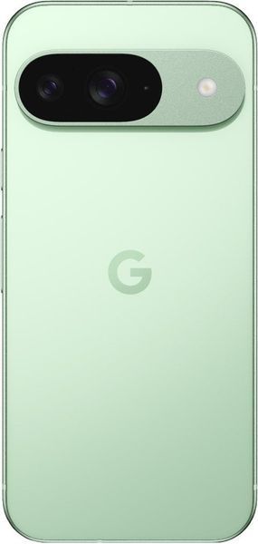 Смартфон Google Pixel 9 12/256GB Wintergreen (Global Version) 114092 фото
